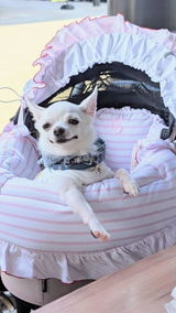 ソアンのおかぁしゃん review photo