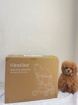 もか review photo