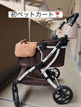 美樹 戸田 review photo