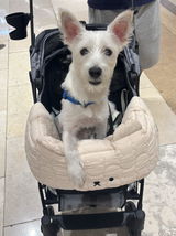 하은 김 review photo