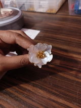 Naomisihna Gamanga review photo
