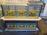 GENE C. review photo