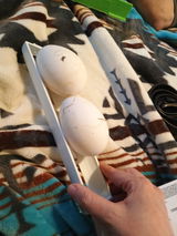 Melissa M. review photo