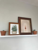 Sdunn review photo
