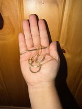 Laura Cristerna review photo