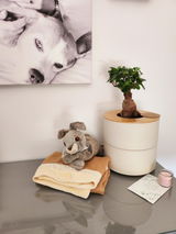 Jun Hung Zellerhoff-Hensel review photo