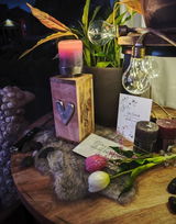 Sandra Behrens review photo