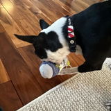 Bullseye2024 review photo