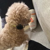 daisyday review photo