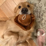 momof3kids3dogs review photo