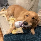 momof3kids3dogs review photo