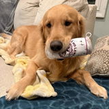 momof3kids3dogs review photo