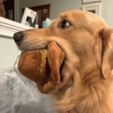 momof3kids3dogs review photo