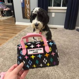tiffany946 review photo