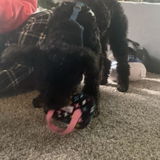 justbaity review photo