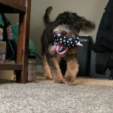 justbaity review photo