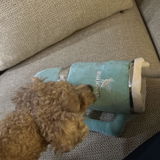 daisyday review photo