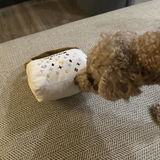 daisyday review photo