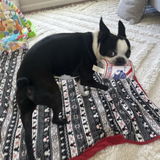 Bullseye2024 review photo
