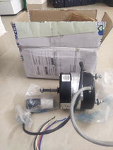 J.T. review photo