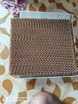 Mitesh Kayasth review photo
