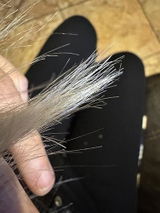 Deisy review photo