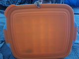 Ricey review photo
