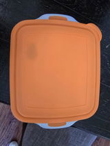 Eli review photo