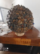 Ash review photo