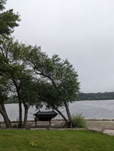 Sabin the wild review photo