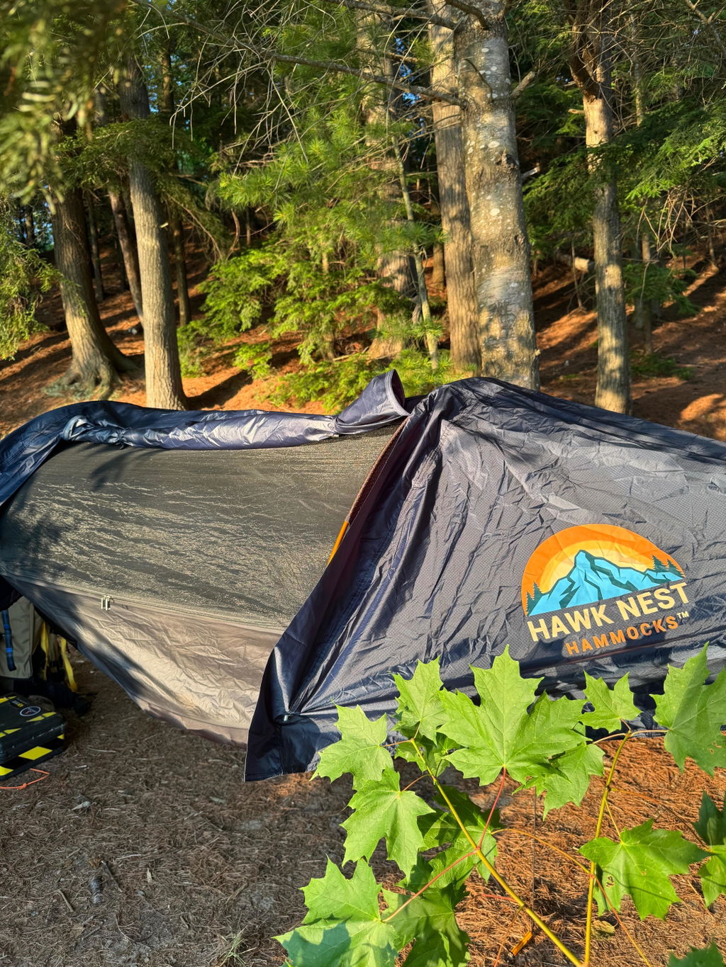 Customer photo from Tyler Scott