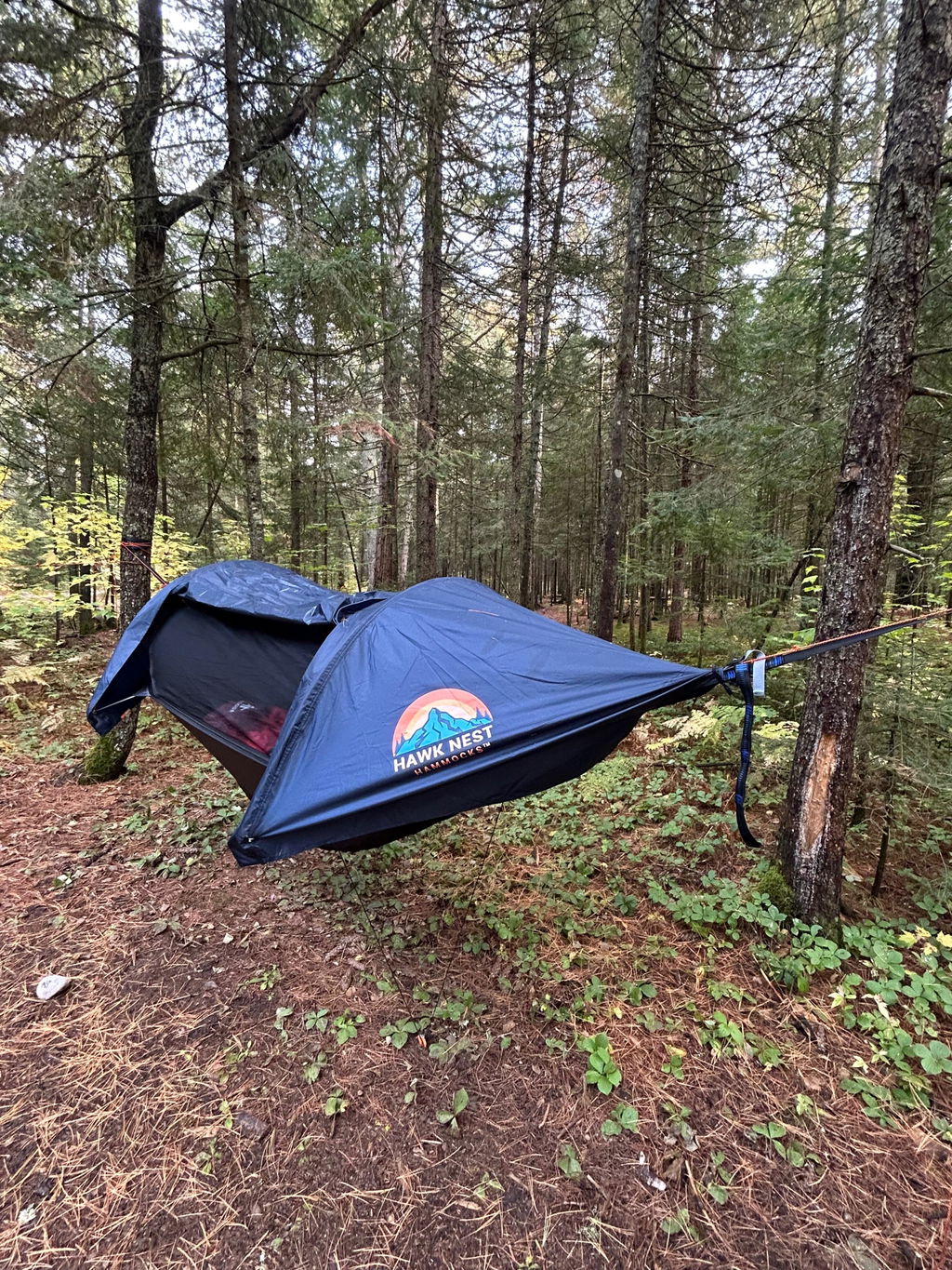 Customer photo from Pat Christie