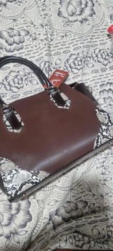 Alisha review photo