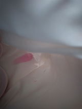 Jordan Williams review photo