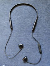 Kaushik Raman review photo