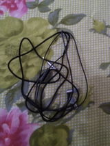 Ramandeep Singh review photo