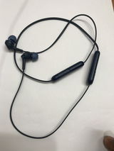 Goldwin Shelton review photo