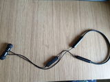 Vivek Chavan review photo