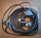Sanjay Ramaswamy review photo