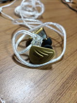 Lionel Aranha review photo