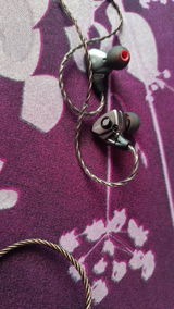 Soumya Ranjan Nanda review photo