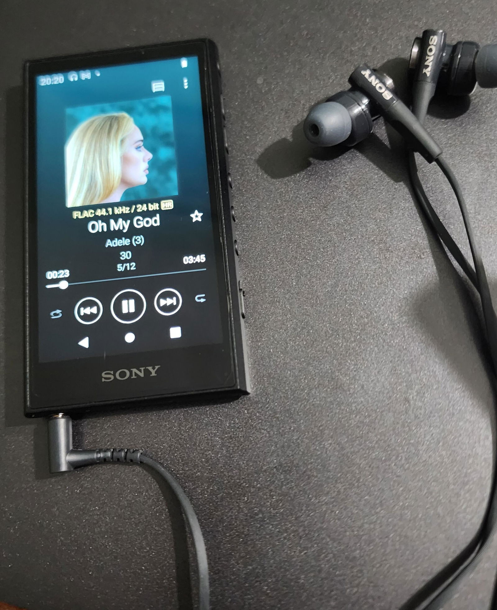 Sony NW-A306 Portable Audio Player