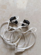 Ramananda Panda review photo