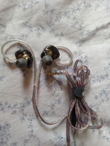 Angshuman Bagchi review photo