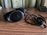 A.V.D. review photo