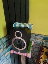 nayan.basistha@gmail.com review photo