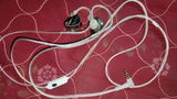Bhavesh review photo