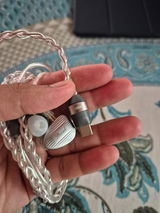 Pradipta Palit review photo