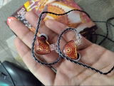 Rishi Swami review photo