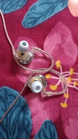 Amrit Adak review photo